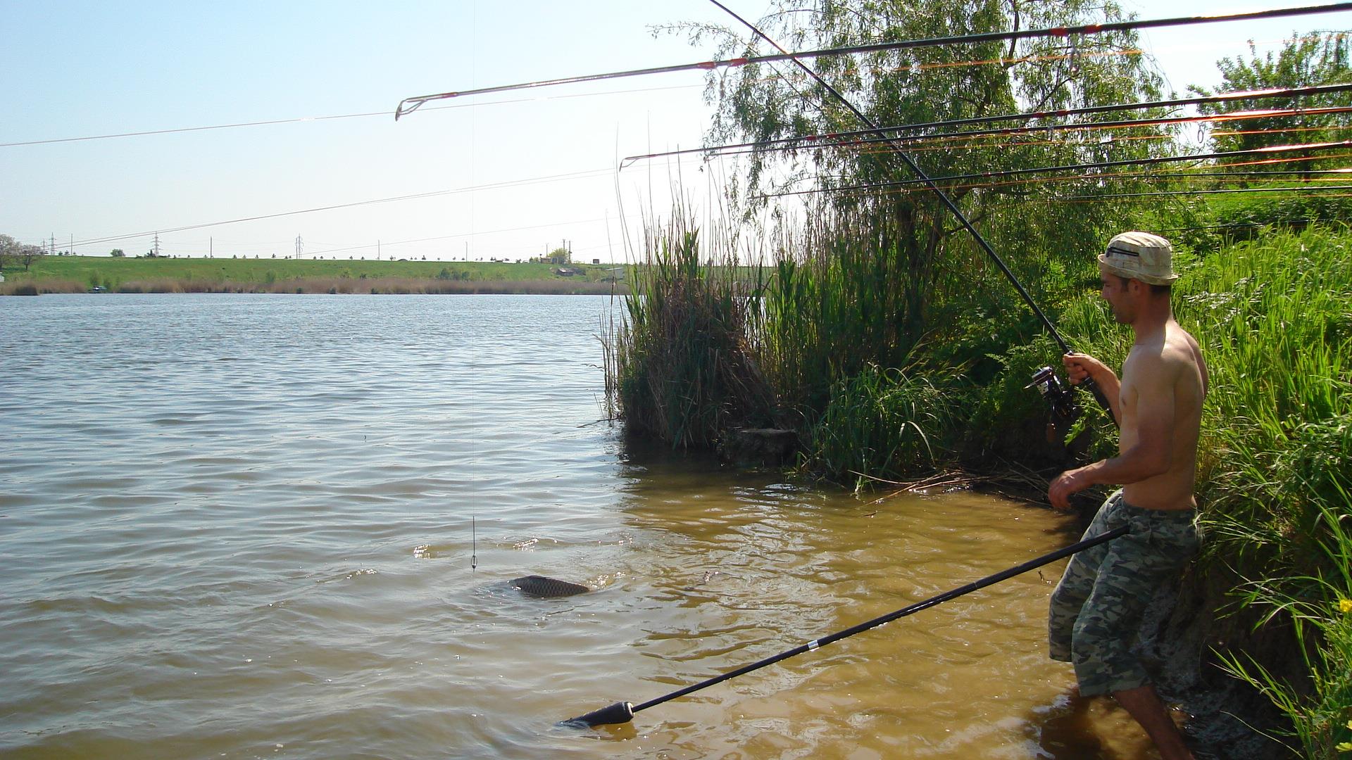 Tâncăbeşti  - dsc03329.JPG